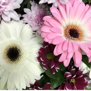 Meet your Posher, Sharon